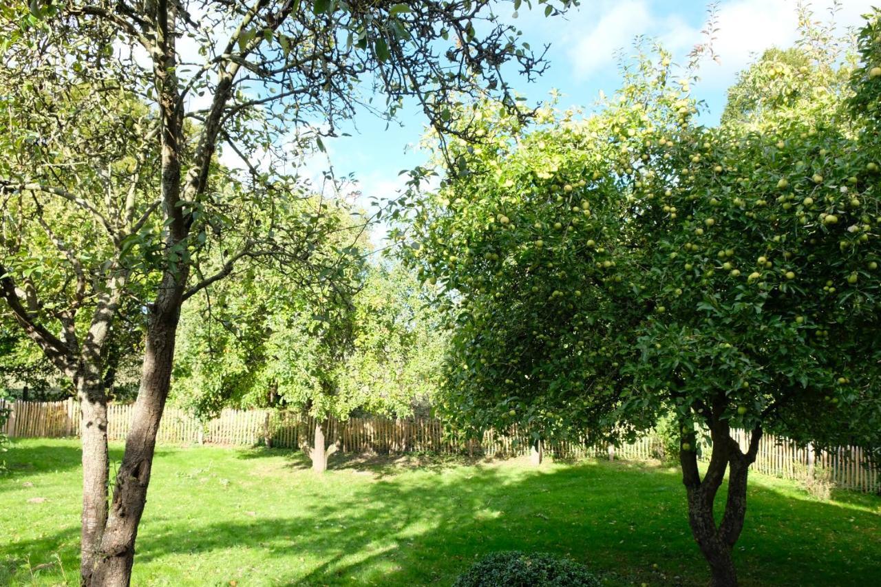 Urlaubsoase Ostsee Hohen Schoenberg Exteriör bild