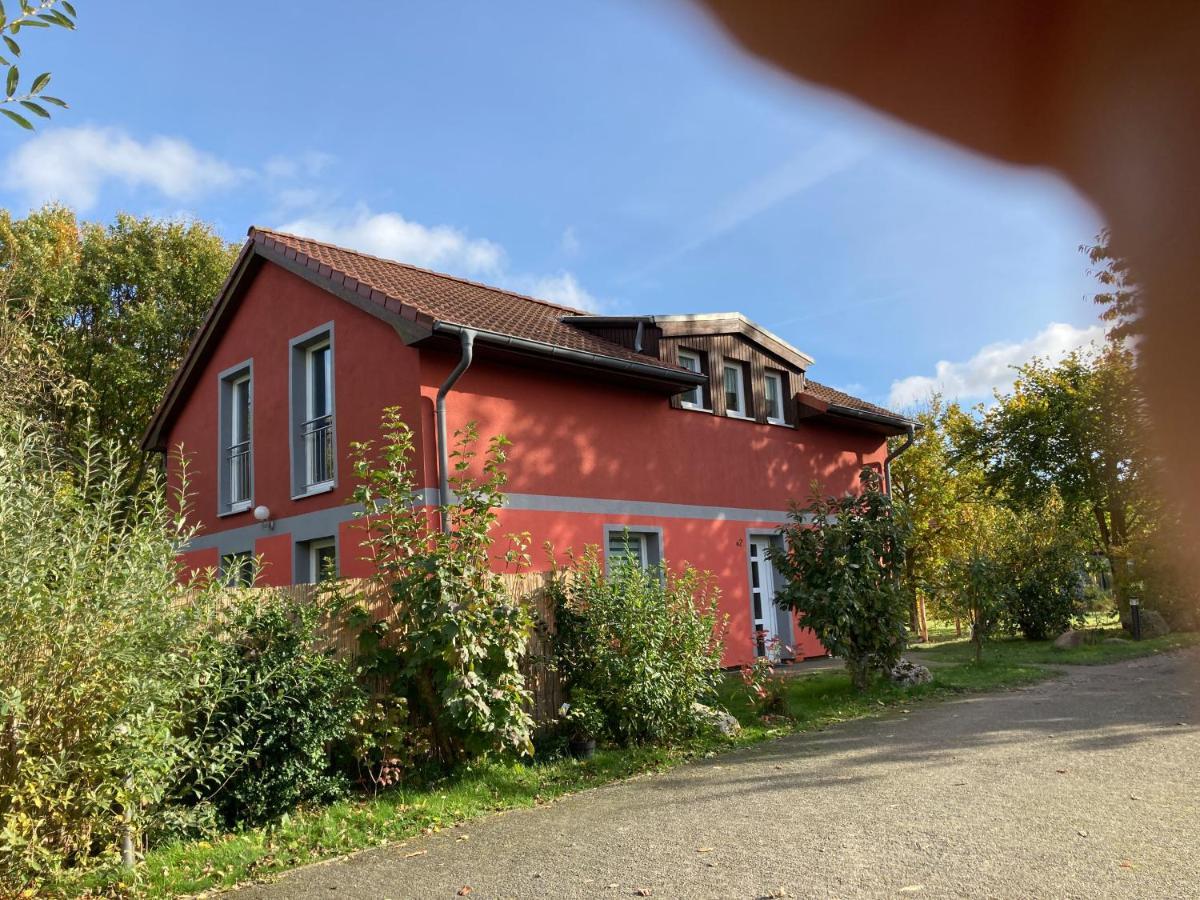 Urlaubsoase Ostsee Hohen Schoenberg Exteriör bild