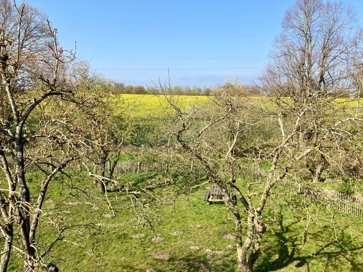 Urlaubsoase Ostsee Hohen Schoenberg Exteriör bild