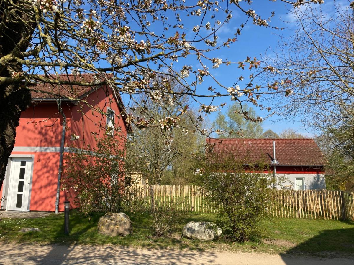 Urlaubsoase Ostsee Hohen Schoenberg Exteriör bild